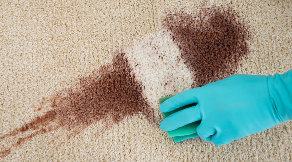 How to Treat Stains on A Carpet