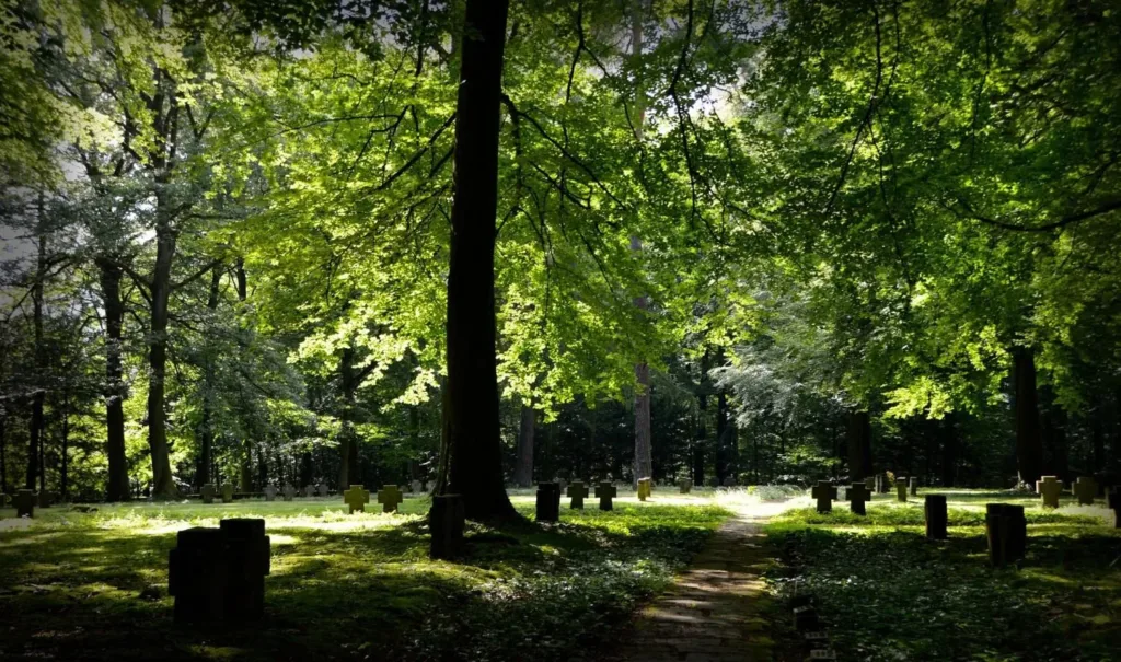 How Natural Burial Grounds Are Helping Preserve the Earth